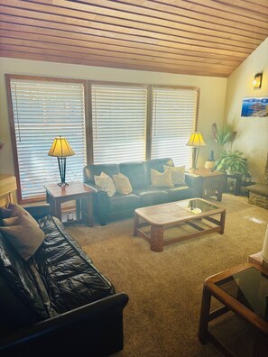 Smart TV, chimenea, reproductor de DVD y libros 