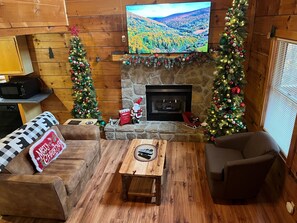 Televisor intel·ligent, llar de foc, videojocs i reproductor de DVD 