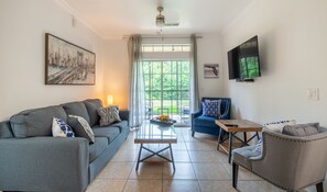 Smart TV, Netflix, streaming services