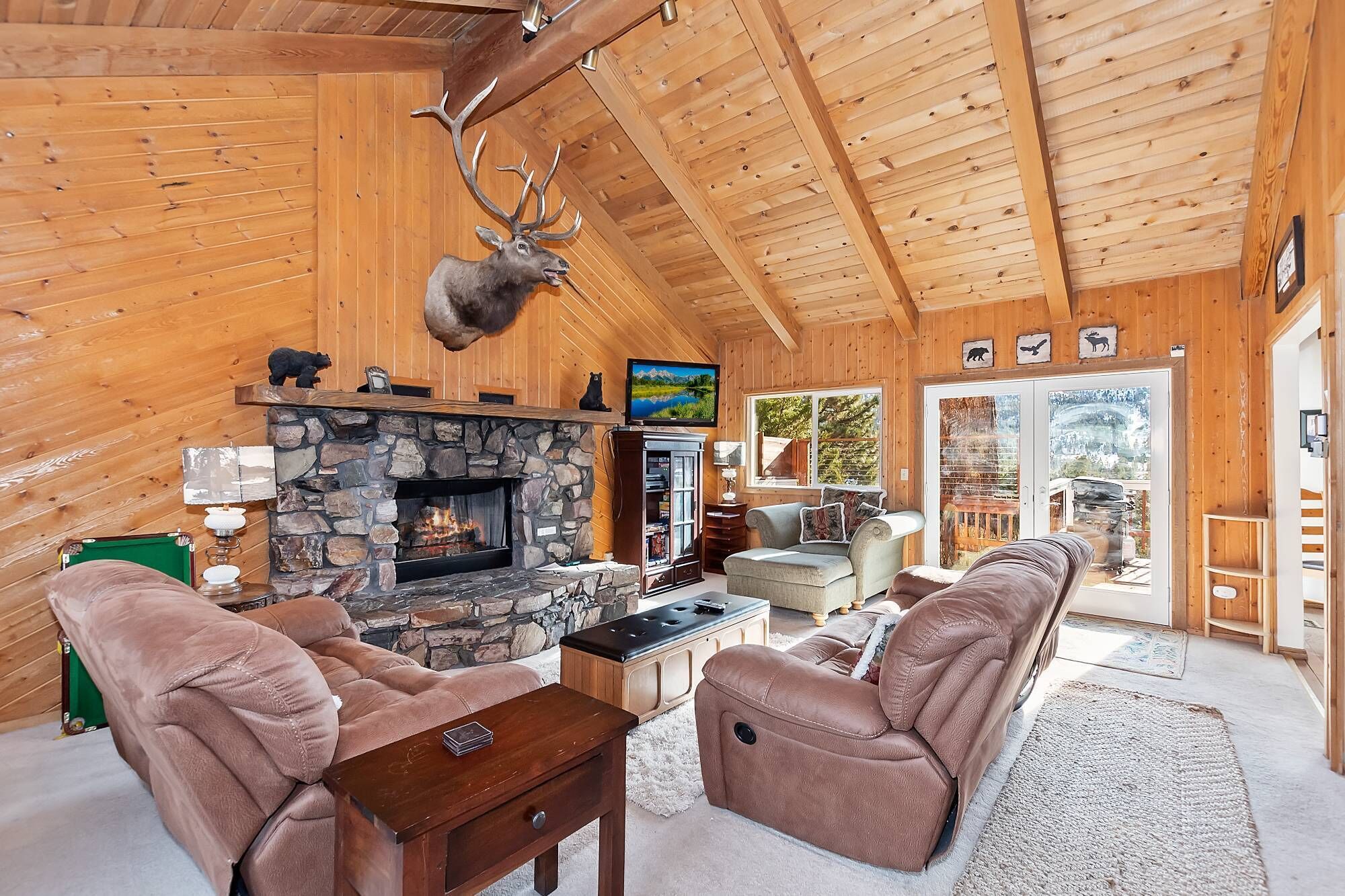 TV, fireplace, video games, DVD player