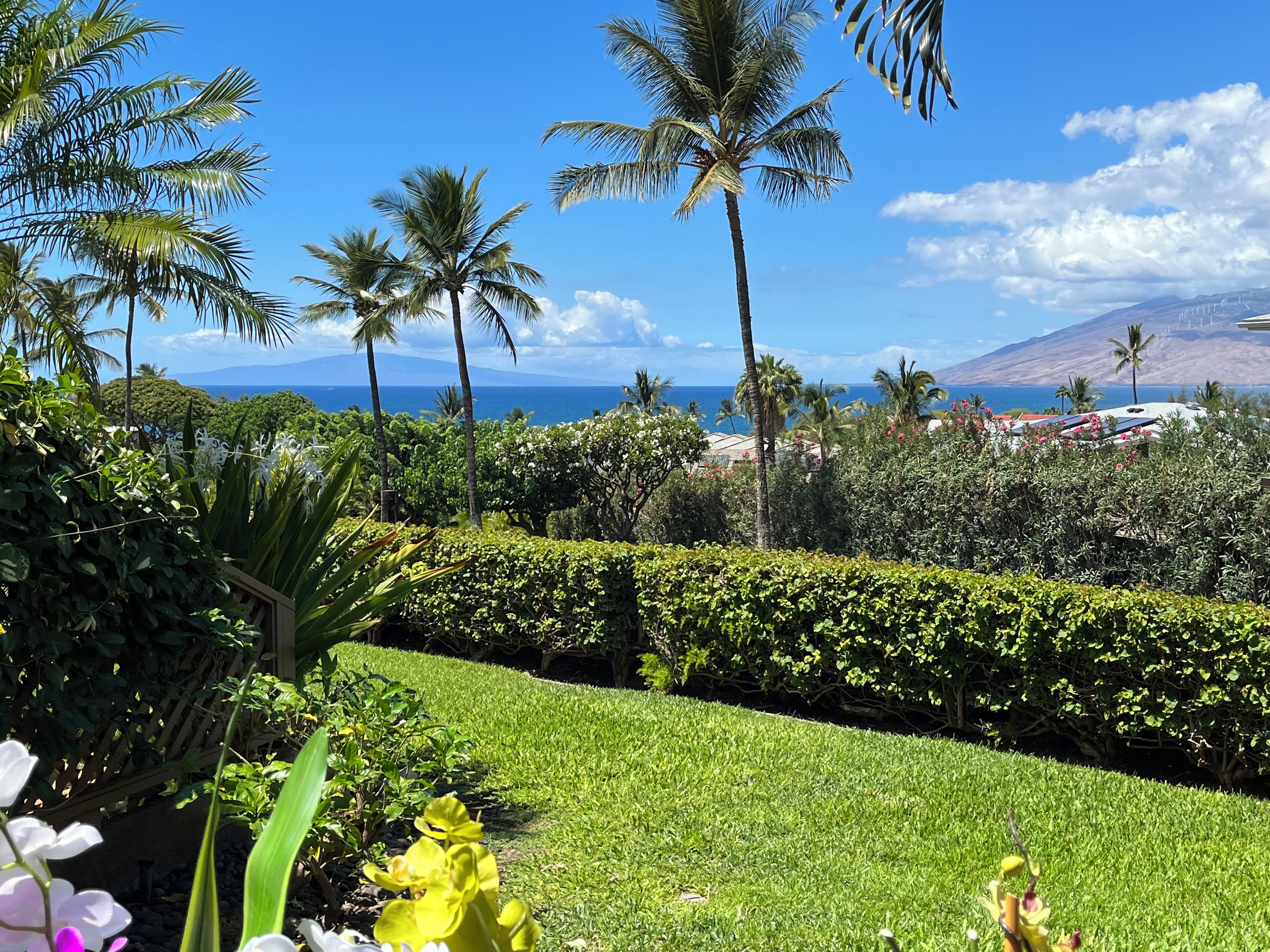 Un exuberante jardín con palmeras y vistas al océano.