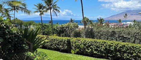 Un exuberante jardín con palmeras y vistas al océano.
