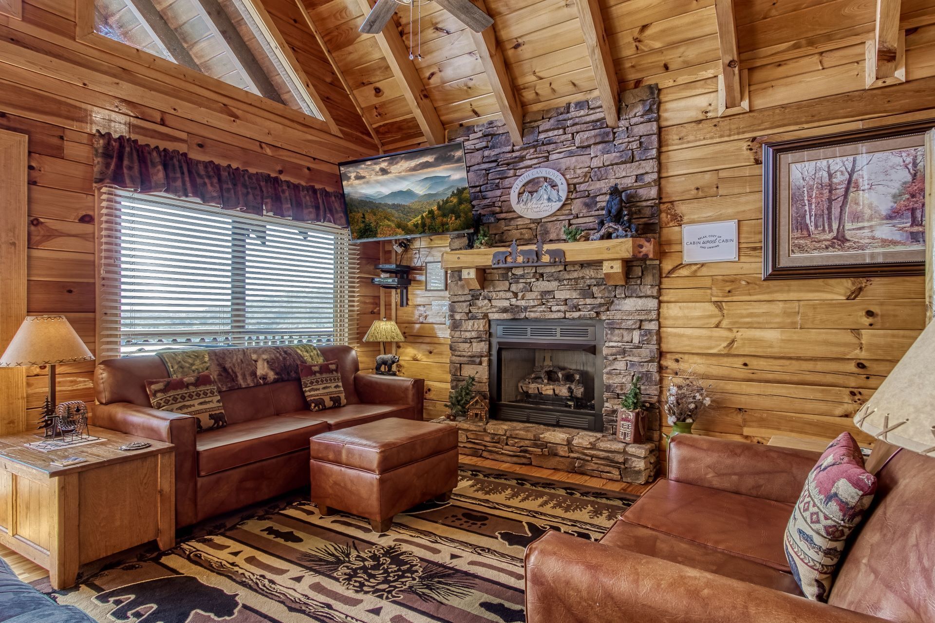 TV, lareira, videogames, DVD player