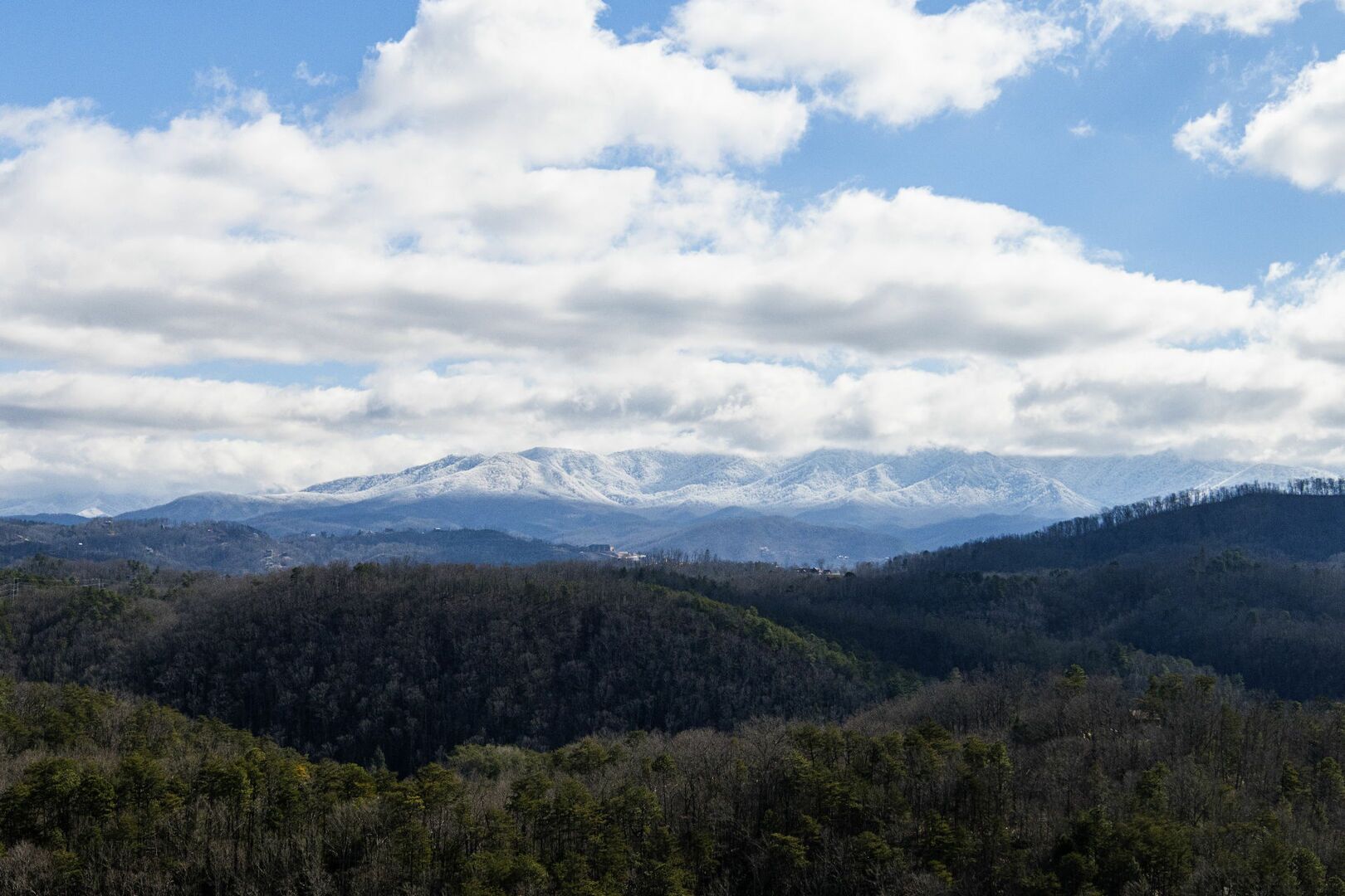Un paisaje montañoso con picos nevados y un valle boscoso.