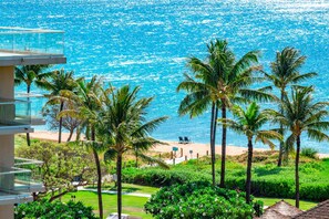A beachfront property with a pool, palm trees, and a view of the ocean.