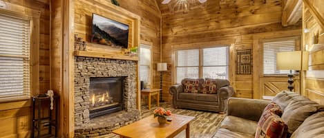 TV, peis og DVD-spiller