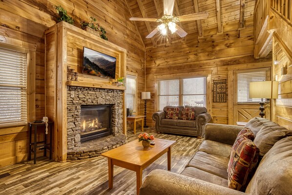 TV, fireplace, DVD player