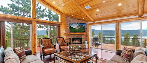 Télévision, cheminée, jeux vidéo, lecteur de DVD