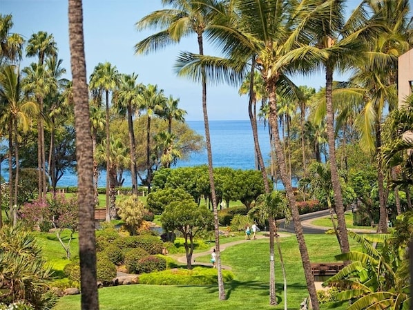Un exuberante jardín con palmeras y vistas al océano.