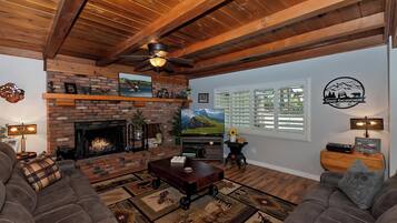 Tv, pejs, dvd-afspiller