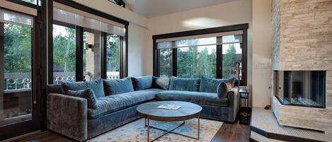 TV, fireplace