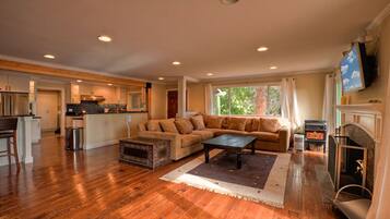 Smart TV, lareira, DVD player, livros