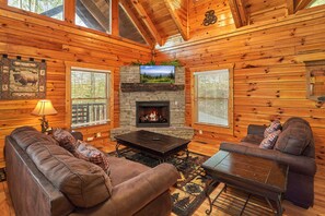 Télévision, cheminée, lecteur de DVD