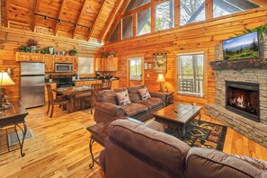 TV, fireplace, DVD player