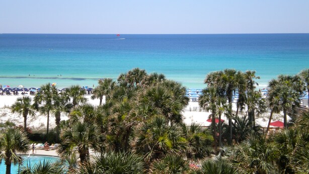 A beach with palm trees, a pool, and a view of the ocean.