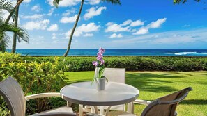An outdoor seating area with a table and chairs, a potted orchid, and a view of the ocean.