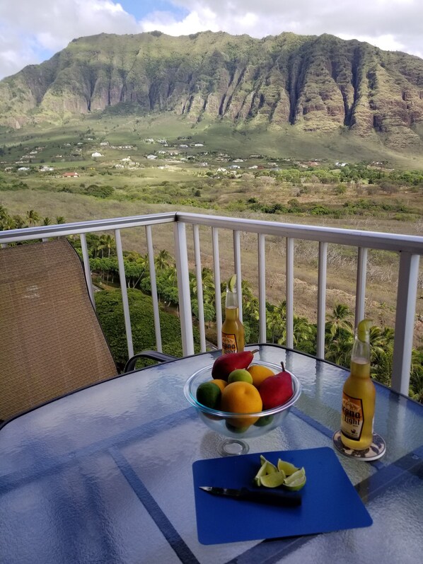 A table with a fruit bowl, a bottle of Corona Light, and a knife on a balcony overlooking a mountainous landscape.