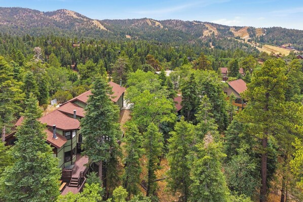 A residential area with houses surrounded by dense forest and mountains in the background.