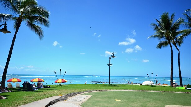 A beach with palm trees, umbrellas, and a clear blue sky. - Renovated Private Kuhio Village 708A Studio - 2 min Walk 2 the Beach! (Honolulu)