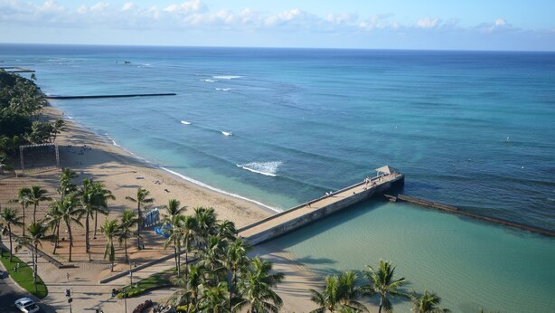 A beach with a long pier extending into the ocean, palm trees lining the shore, and clear blue water. - KV1002 Waikiki 2463 Kuhio Ave Honolulu (Honolulu)