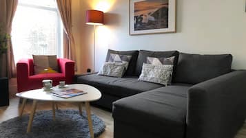 Smart TV, Netflix, DVD player, streaming services