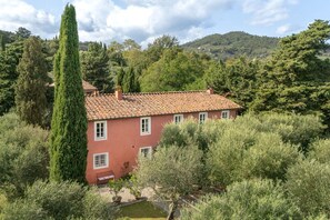 Esterni