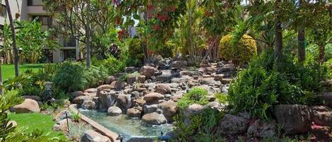 Een aangelegde tuin met een klein waterpartij, omringd door rotsen en diverse planten.