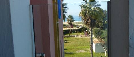 A view through a window of a building with a door, a grassy area, palm trees, and a beach in the background.
