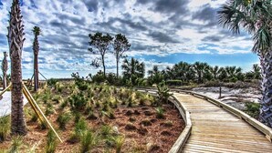 Un paseo marítimo de madera serpentea a través de un área ajardinada con árboles jóvenes y una playa arenosa al fondo.