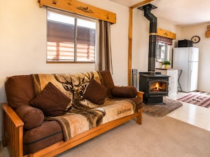 TV, fireplace, DVD player
