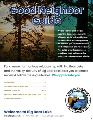 Miscellaneous - Hiner Haven - Walk to Shuttle, Fireplace, Barbecue (Big Bear Lake)