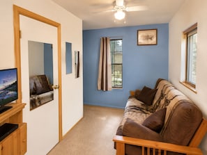 TV, fireplace, DVD player
