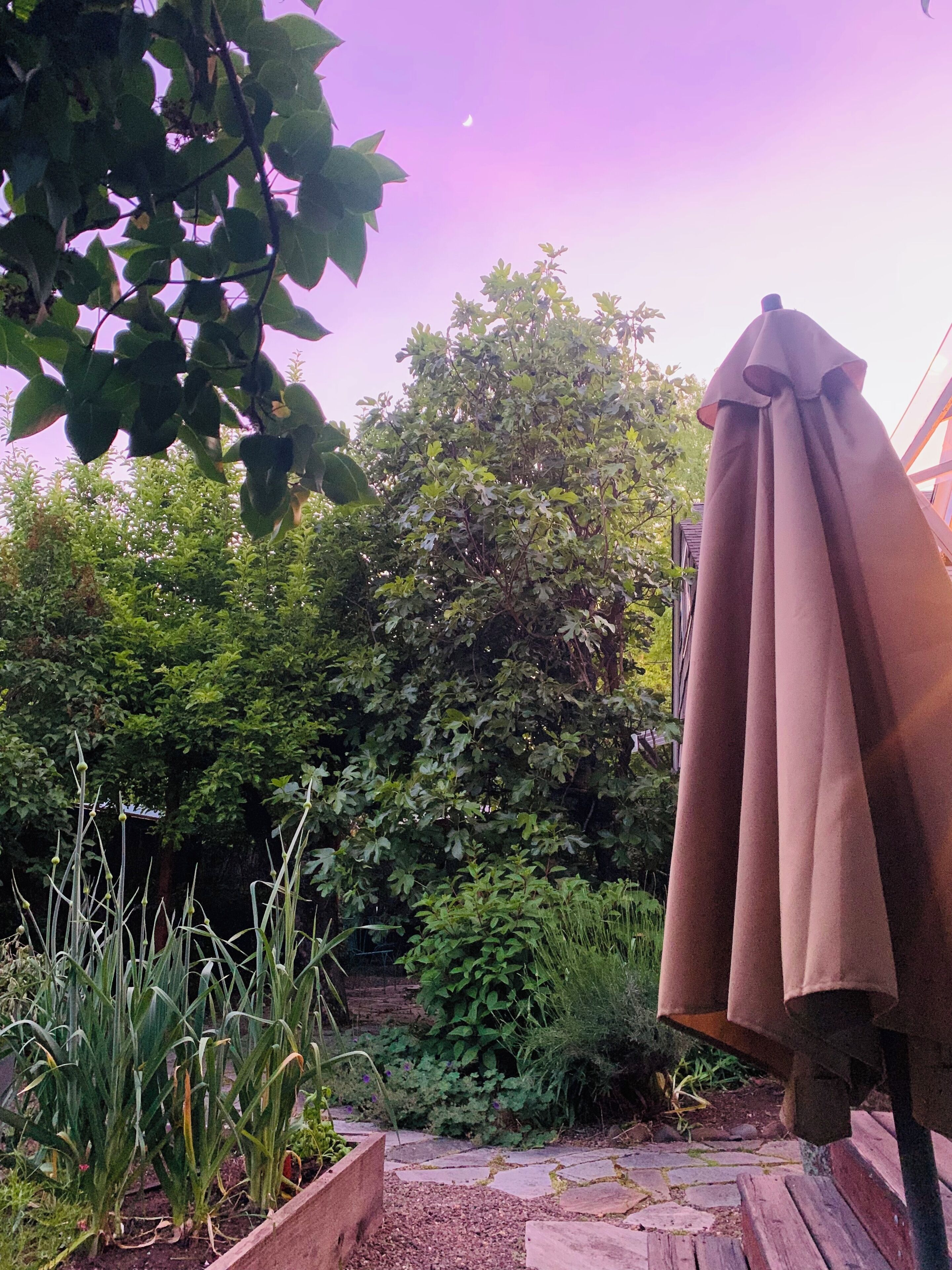 Un jardin avec un banc en bois et un parasol marron.