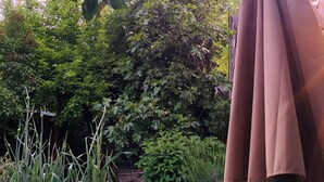 A garden with a wooden bench and a brown umbrella.