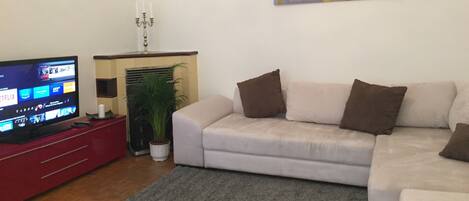 تلفزيون، مدفأة، مكتبة فيديو