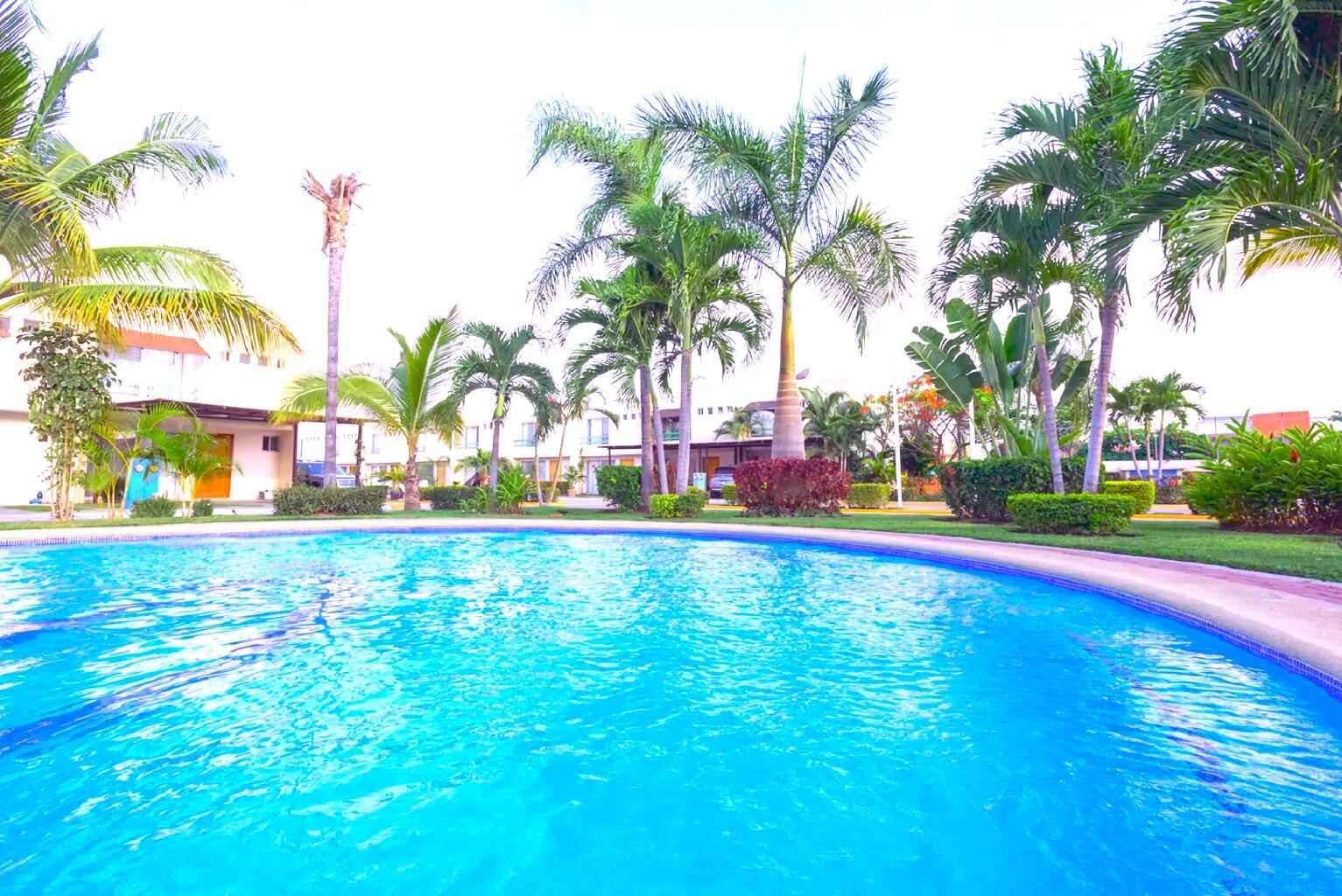 Enjoy a swim
