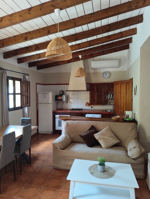 TV, fireplace, DVD player