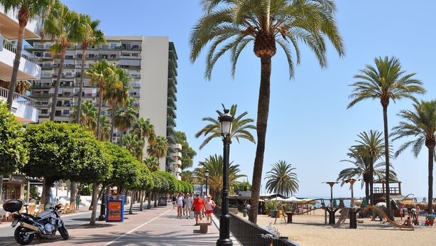 A beachfront promenade with palm trees, a beach, and a building with balconies.
