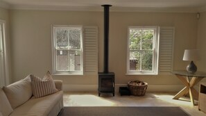 TV, fireplace, books