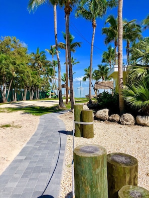 Stroll along the serene pathway lined with palm trees, flanked by wooden posts and large rocks, towards a modern building with a unique spire.