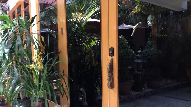 Puerta amarilla con un panel de vidrio, rodeada de plantas en macetas y un suelo de baldosas.