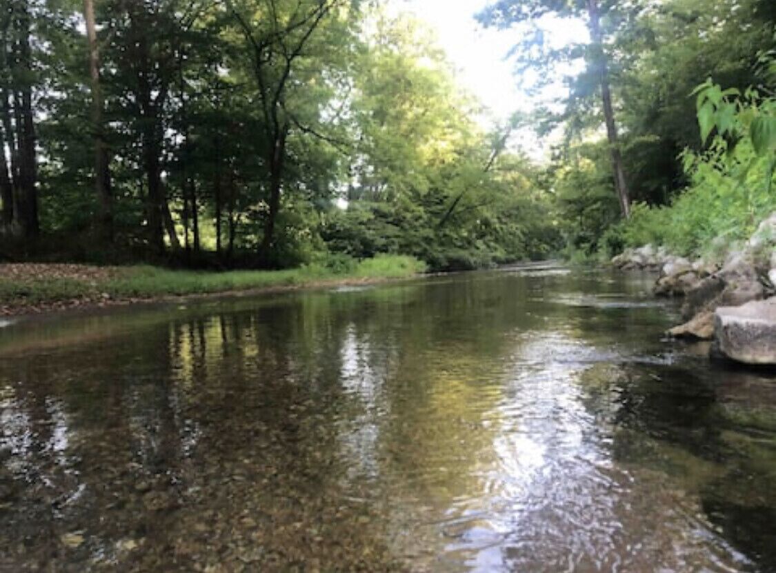 Ein klarer Fluss, umgeben von dichtem Wald und Felsen.