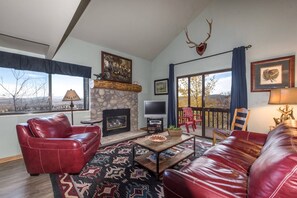 TV, fireplace, DVD player