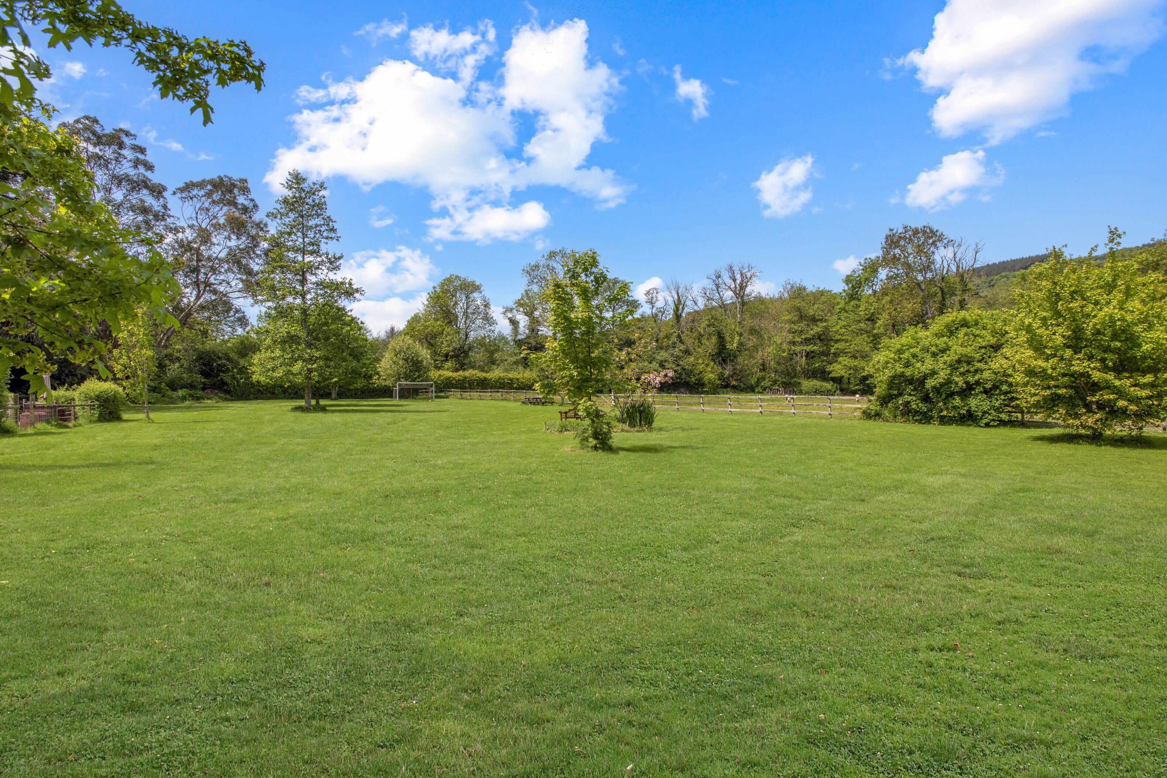 A grassy field with trees and a clear sky.