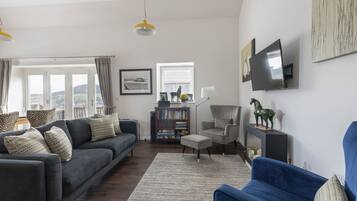 TV connectée, cheminée, lecteur de DVD, livres