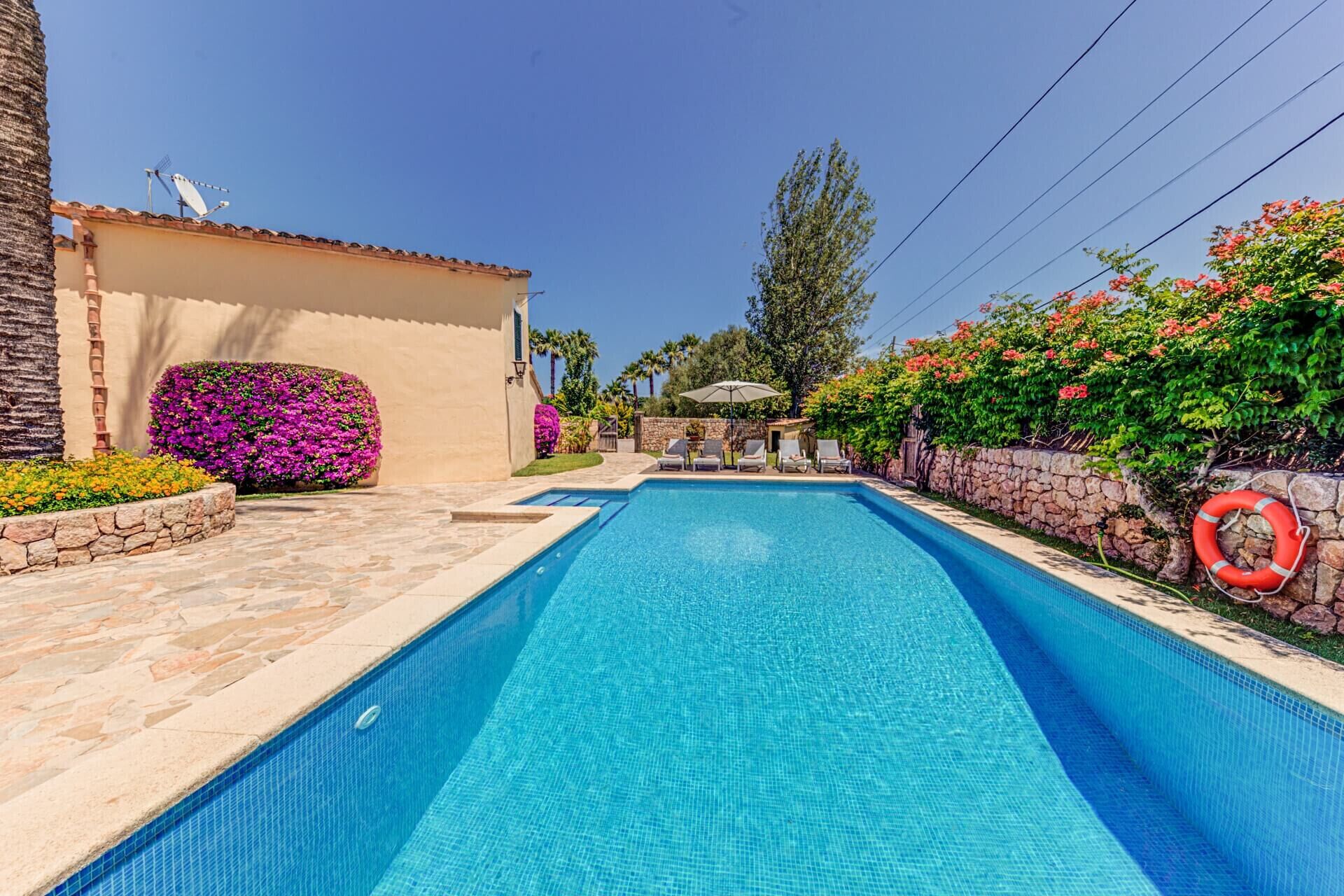A swimming pool with a stone border, surrounded by a stone wall and lush greenery.