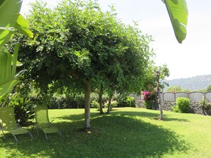 Property grounds - Comfortable apartment with private terrace, swimming pool overlooking the sea (S.Tecla)