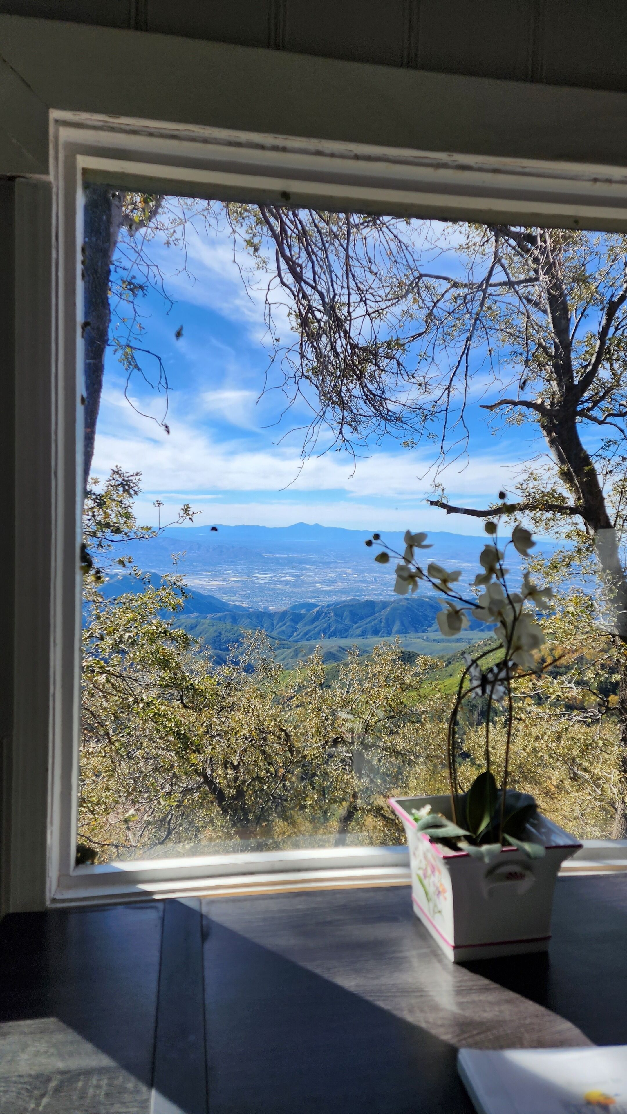 Family Cabin | View from room