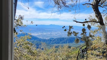 Family Cabin | View from room