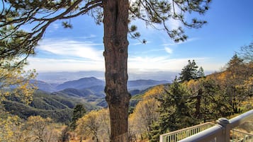 Vista desde la propiedad